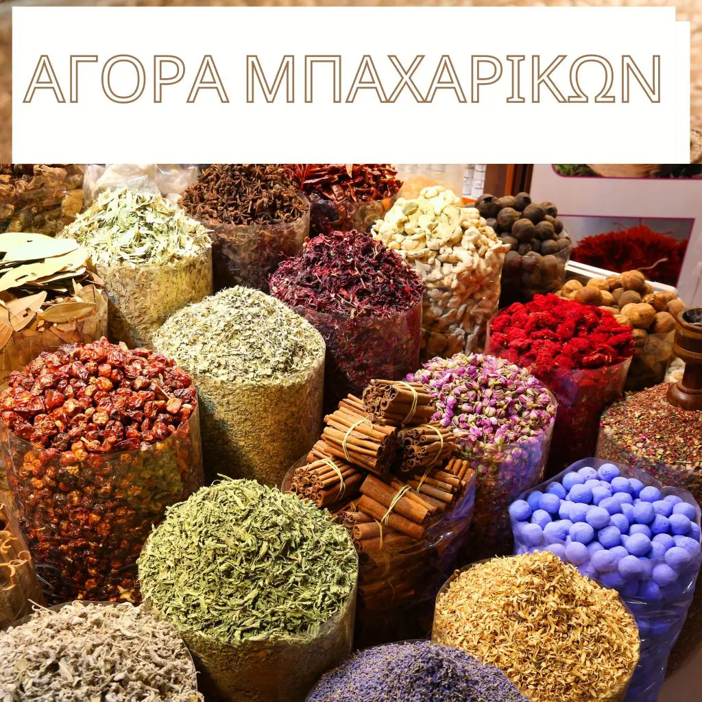 Μπαχαρικά και Βότανα: Το Αρχαίο Φαρμακείο της Φύσης, στο… πιάτο σας!
