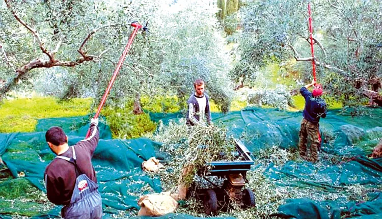 Η Σημασία της Ενότητας και της Συλλογικής Στρατηγικής στους Αγρότες